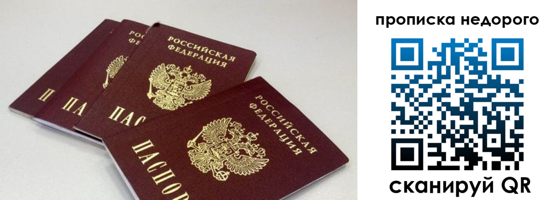 прописка штамп в Новошахтинске