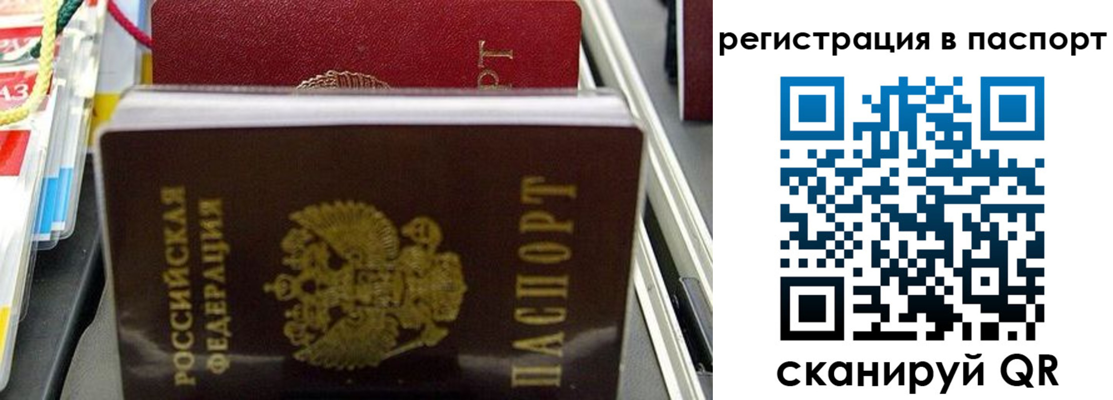 прописка для школы в Новошахтинске